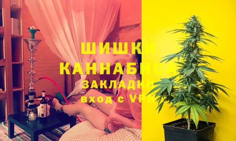 Шишки марихуана SATIVA & INDICA  Моздок 